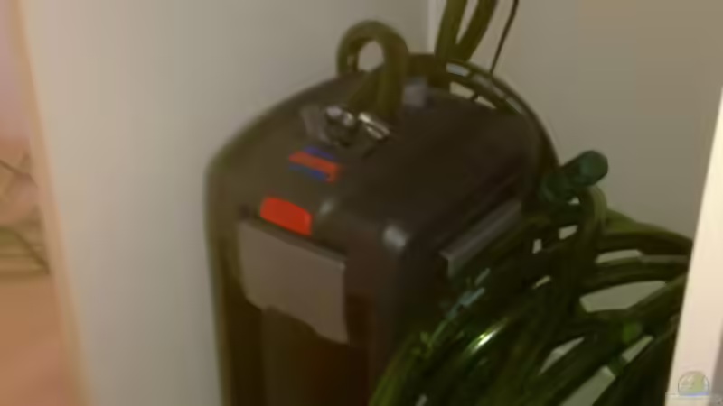 Technik im Aquarium Becken 19163 von Matze38 (5)