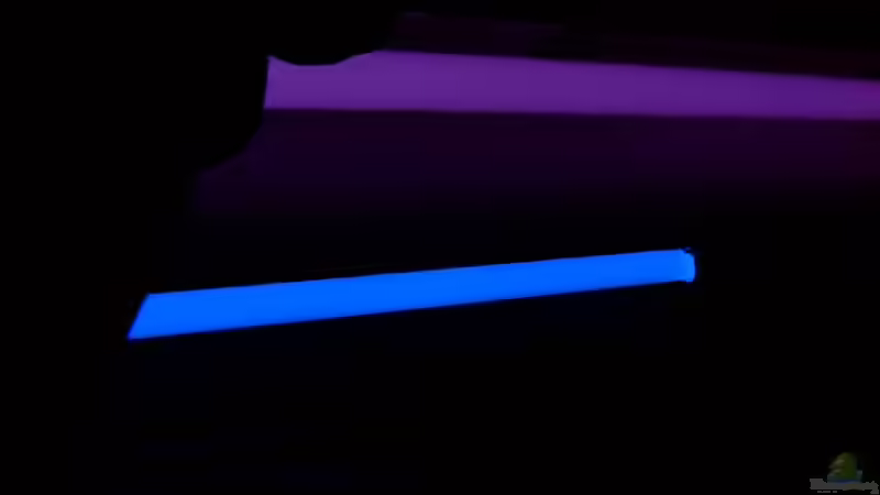 Technik im Aquarium Becken 1920 von Helgo Jacob (23)