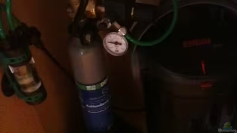 Technik im Aquarium Becken 19299 von Andreas Glissmann (17)