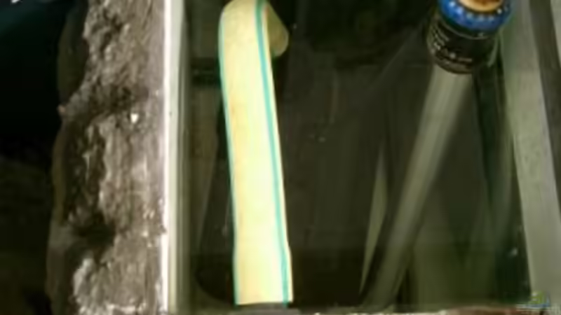 Technik im Aquarium Becken 1951 von Frank Muth (4)