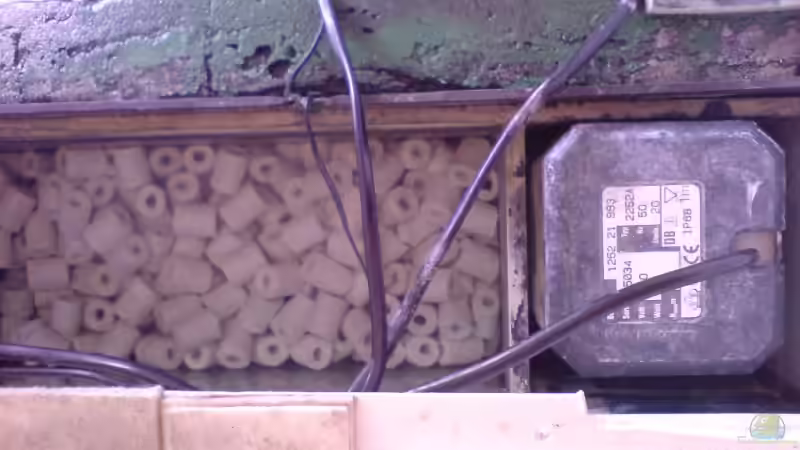 Technik im Aquarium Becken 1954 von Clermont (11)