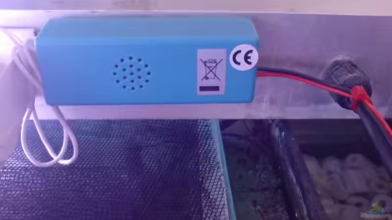 Technik im Aquarium Becken 1954 von Clermont (13)