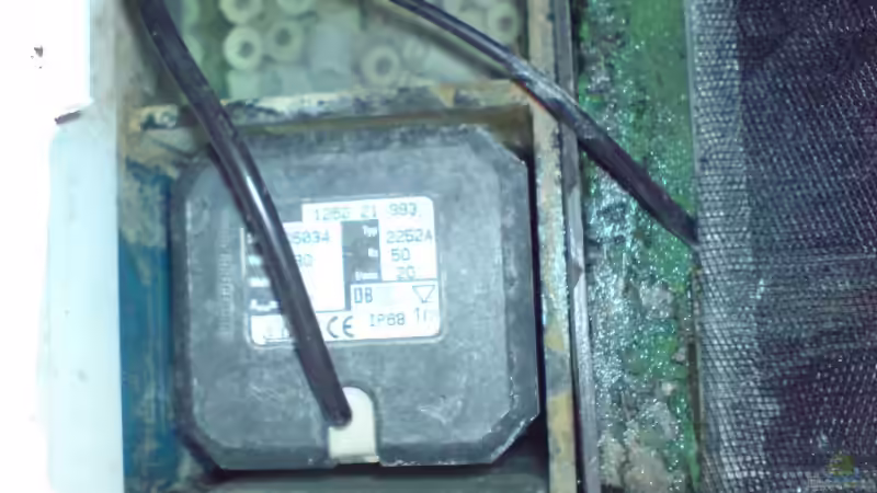 Technik im Aquarium Becken 1954 von Clermont (15)