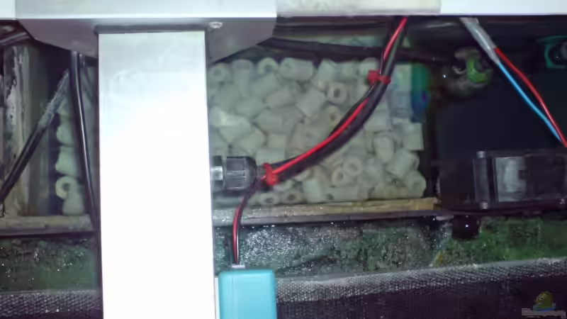 Technik im Aquarium Becken 1954 von Clermont (16)