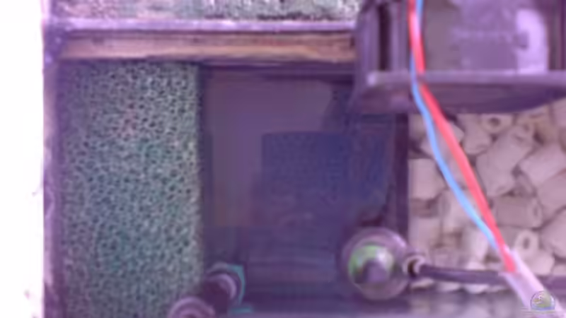 Technik im Aquarium Becken 1954 von Clermont (17)