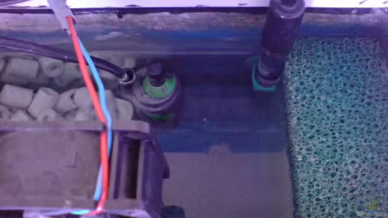 Technik im Aquarium Becken 1954 von Clermont (18)