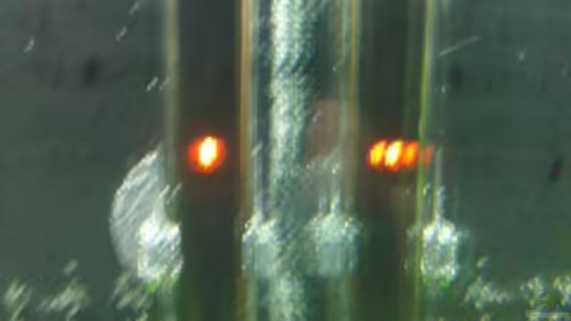 Technik im Aquarium Becken 19545 von Crissy (15)