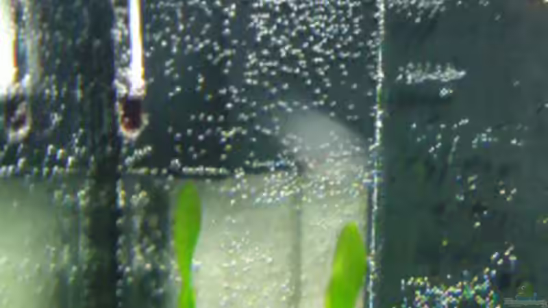 Technik im Aquarium Becken 19545 von Crissy (16)