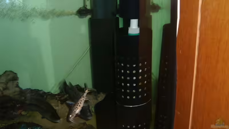 Technik im Aquarium Becken 196 von Heider Frank (3)