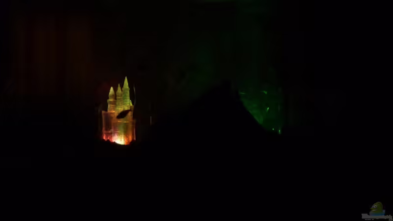 Technik im Aquarium Becken 19721 von LeAnn (9)