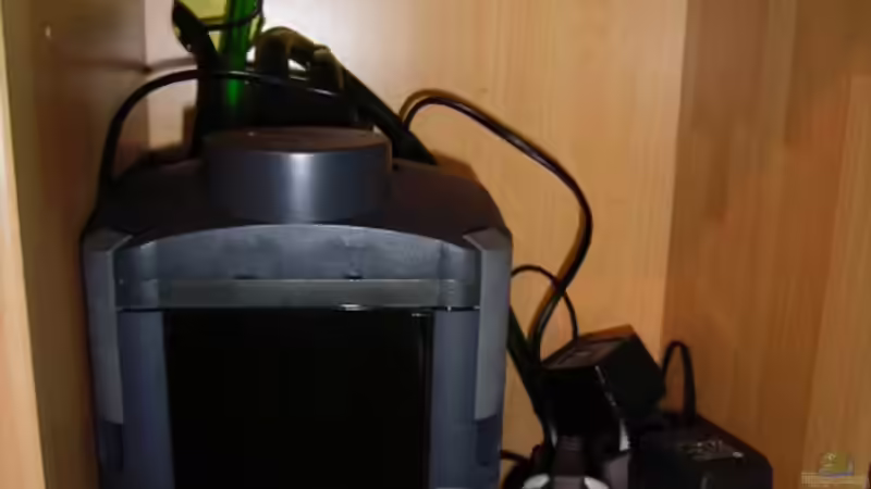 Technik im Aquarium Becken 1976 von Martin Kind (14)