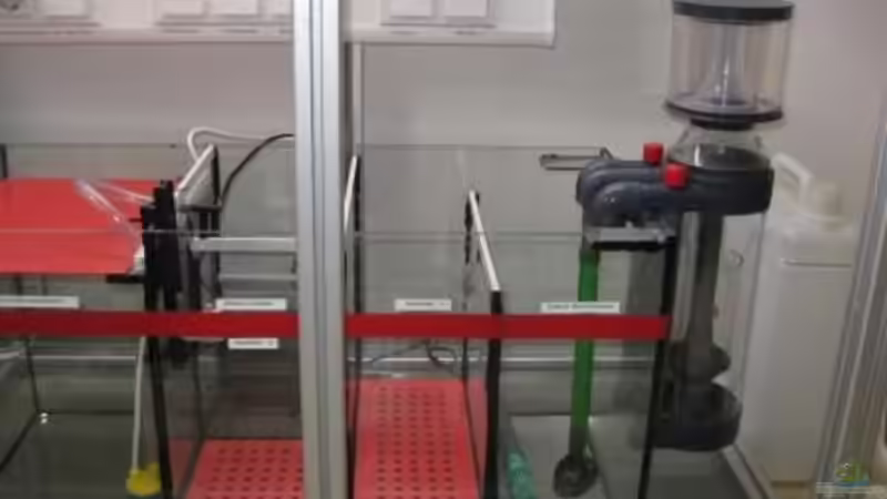 Technik im Aquarium Becken 19782 von Harald (19)