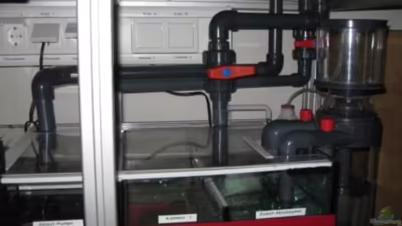 Technik im Aquarium Becken 19782 von Harald (23)