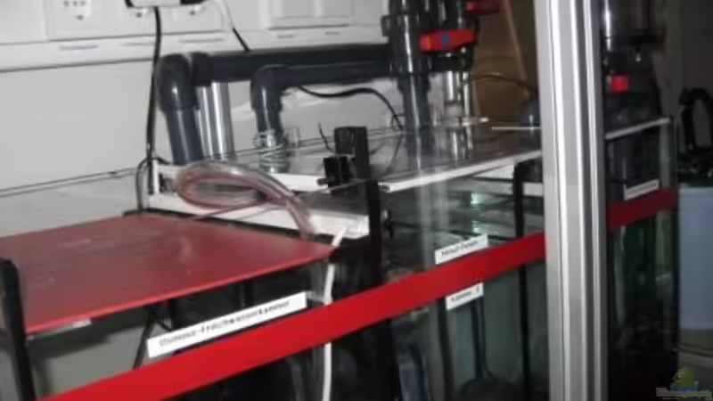 Technik im Aquarium Becken 19782 von Harald (24)