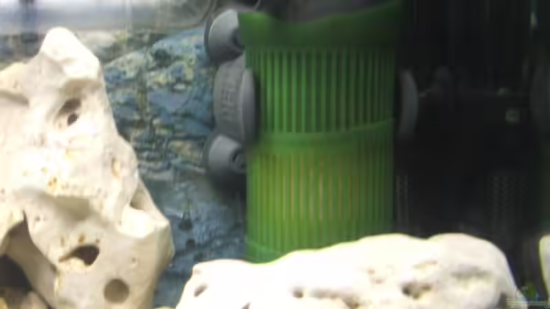 Technik im Aquarium Becken 2007 von Thomas Berling (11)