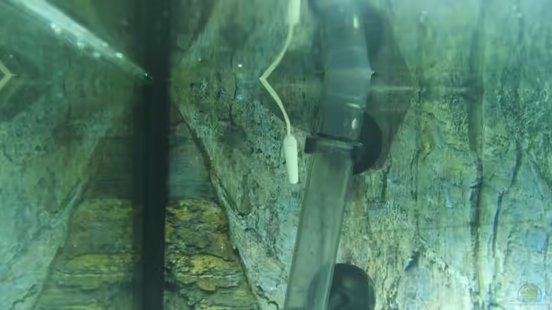 Technik im Aquarium Becken 2007 von Thomas Berling (9)