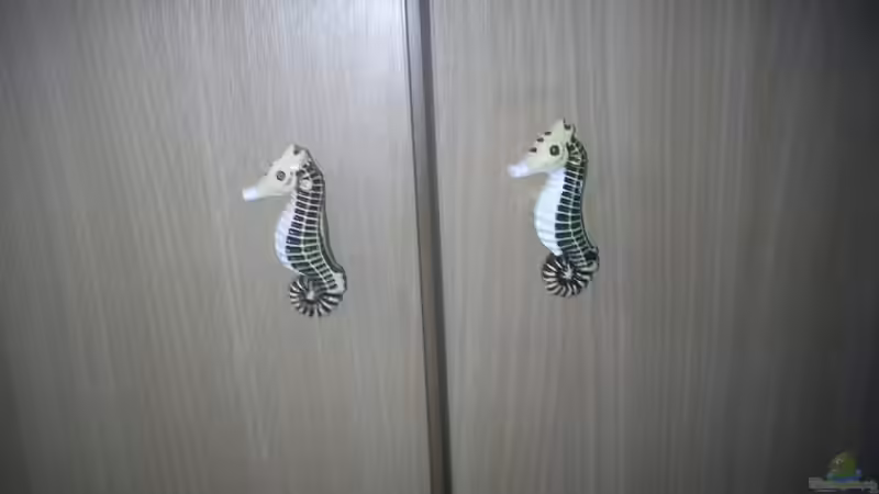 Technik im Aquarium Becken 20235 von Bluewater (8)