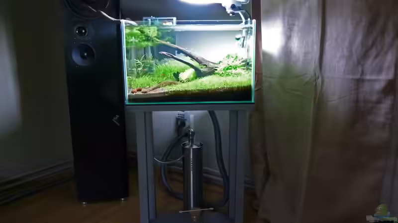 Technik im Aquarium Becken 20287 von Konzi (11)