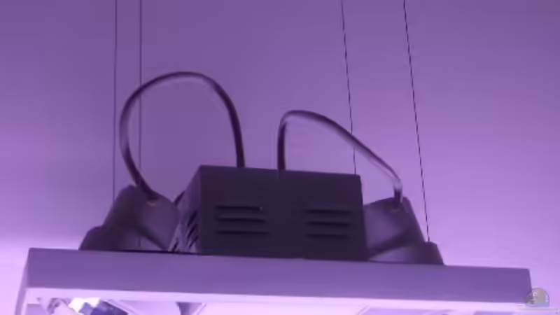 Technik im Aquarium Becken 2033 von Kai Stüven (2)