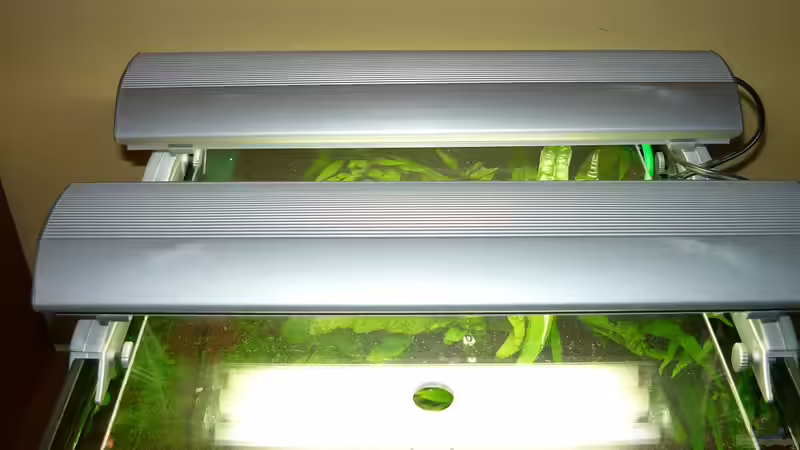 Technik im Aquarium Becken 20499 von Gerd Zimmermann (6)