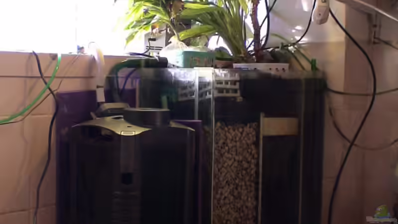 Technik im Aquarium Becken 2075 von Edmund Thaler (9)