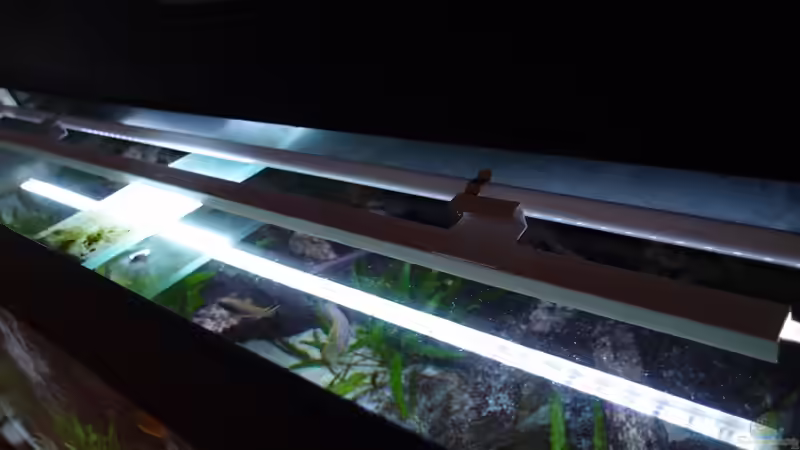 Technik im Aquarium Becken 20933 von joseppe (7)