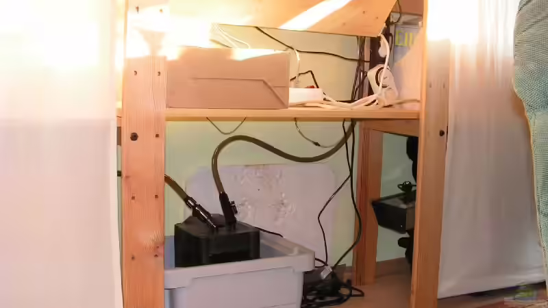 Technik im Aquarium Becken 2131 von Manuela Vogt (9)