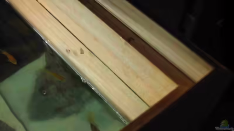 Technik im Aquarium Becken 215 von Alexander Klein (9)