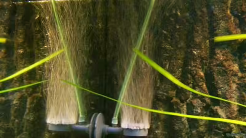 Technik im Aquarium Becken 218 von Michael Knorr (6)