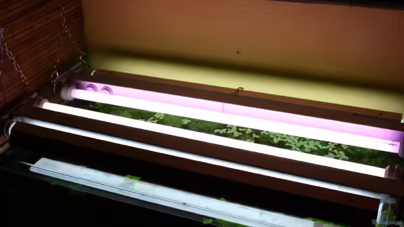 Technik im Aquarium Becken 2186 von Marcin Sowinski (2)