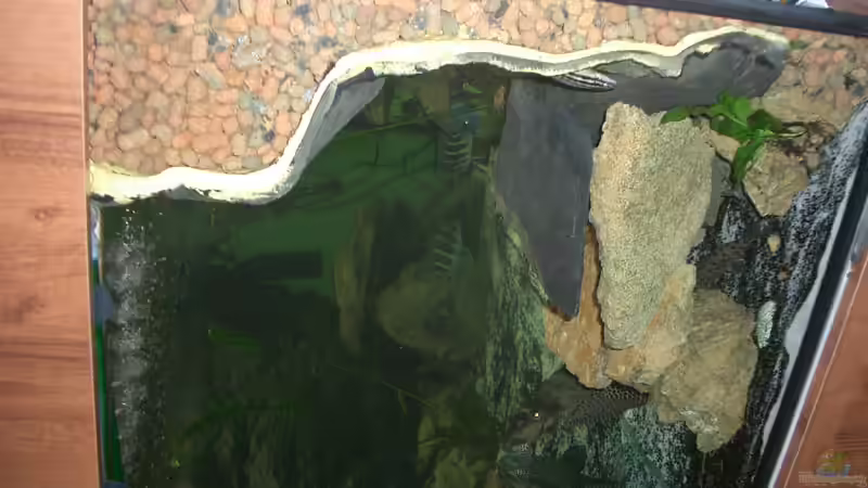 Technik im Aquarium Becken 2186 von Marcin Sowinski (3)