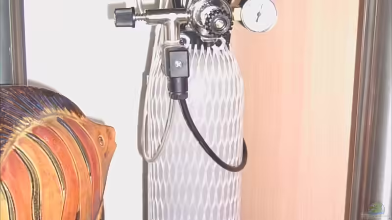 Technik im Aquarium Becken 2208 von Ronald Boshold (10)