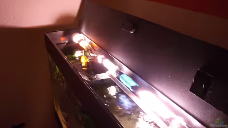 Technik im Aquarium Becken 22123 von chanty (13)