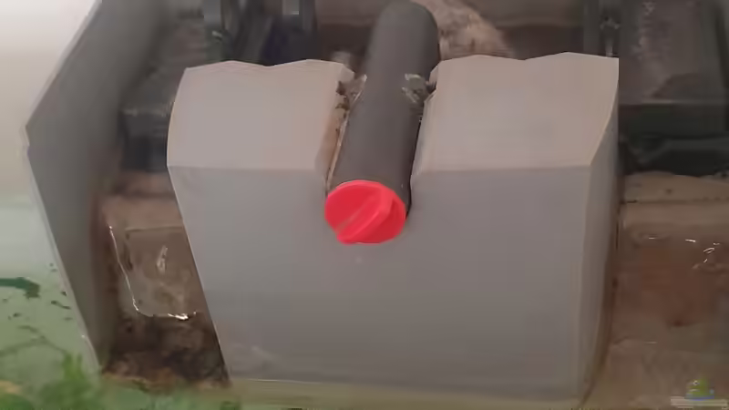 Technik im Aquarium Becken 22307 von piet (16)