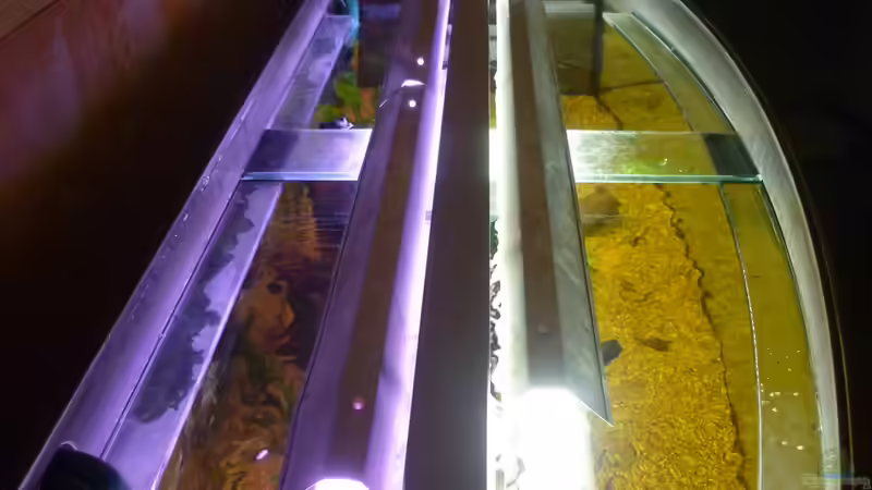 Technik im Aquarium Becken 22387 von Lars Gumpricht (26)