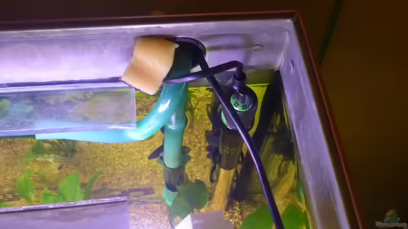 Technik im Aquarium Becken 22387 von Lars Gumpricht (27)