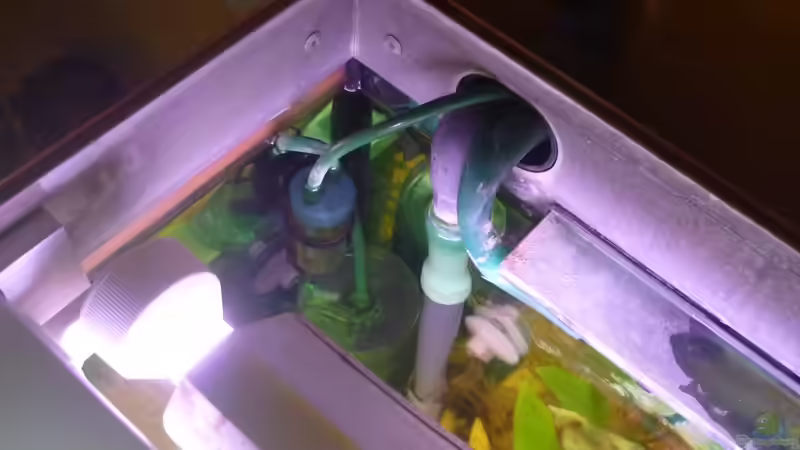 Technik im Aquarium Becken 22387 von Lars Gumpricht (29)