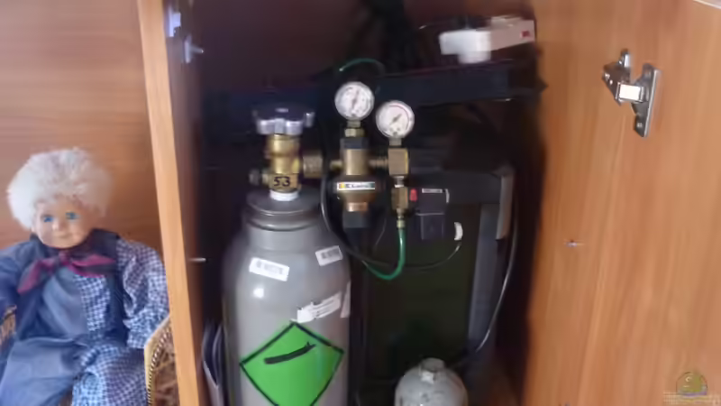 Technik im Aquarium Becken 22387 von Lars Gumpricht (31)