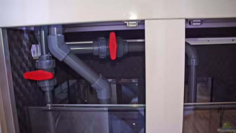 Technik im Aquarium Becken 22455 von Dominik N. (12)