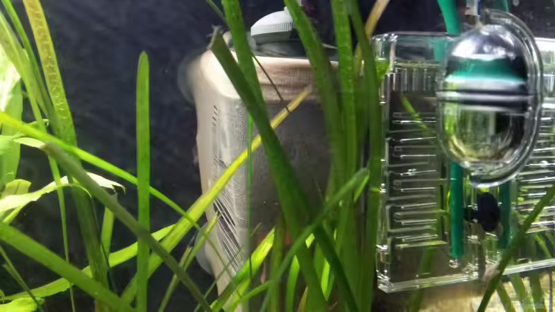 Technik im Aquarium Becken 22586 (nicht mehr aktuell) von janemann (6)