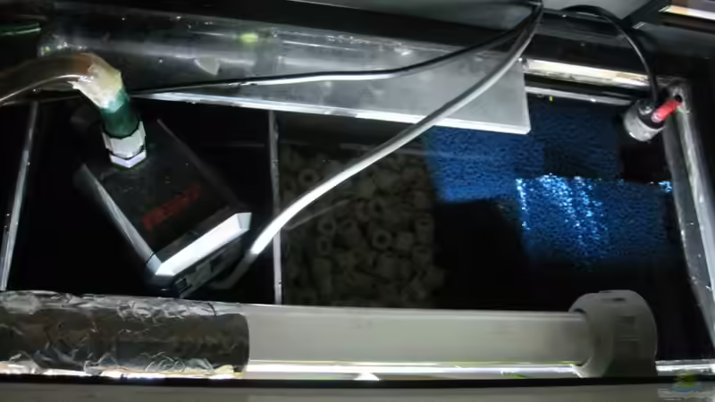 Technik im Aquarium Becken 22617 von CarstenH. (3)