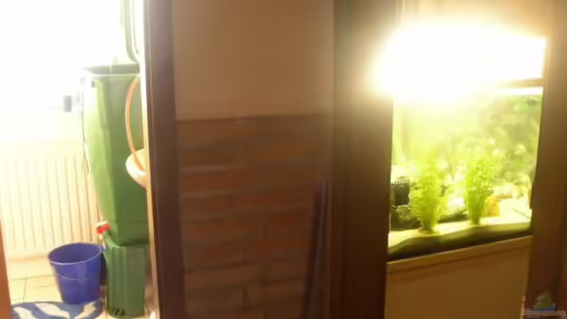 Technik im Aquarium Becken 227 von Sabine Deiters (5)