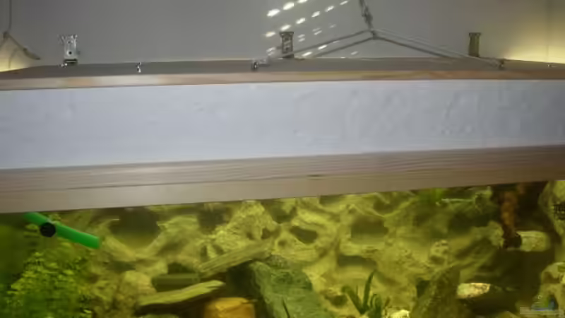 Technik im Aquarium Becken 227 von Sabine Deiters (6)