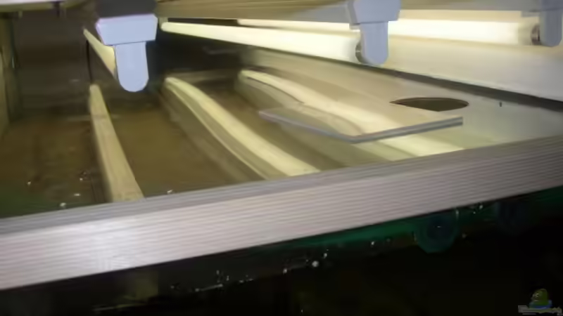 Technik im Aquarium Becken 227 von Sabine Deiters (7)