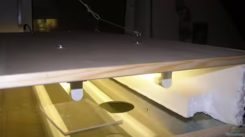 Technik im Aquarium Becken 227 von Sabine Deiters (8)