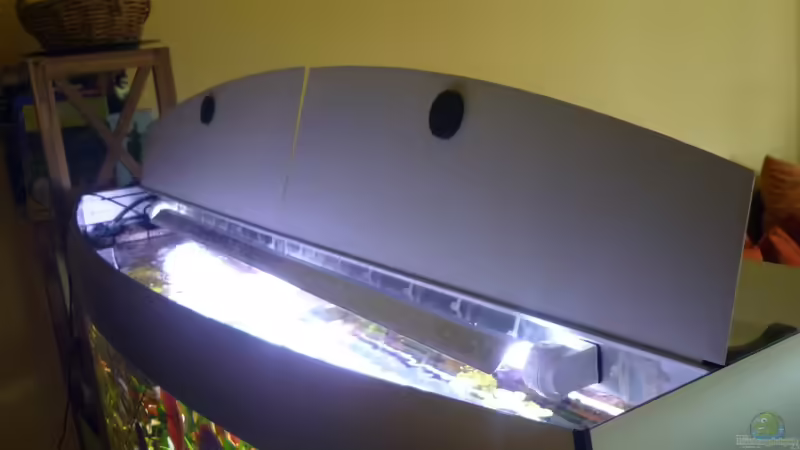 Technik im Aquarium Becken 23059 von dirkvader71 (19)