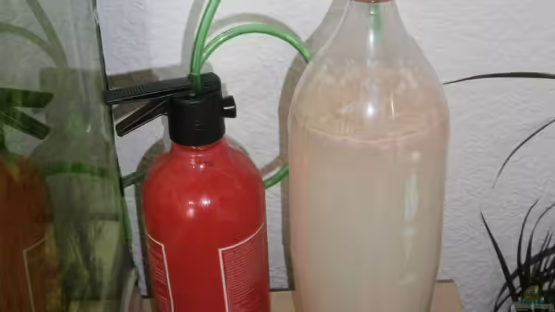 Technik im Aquarium Becken 23166 von Dal3838 (9)