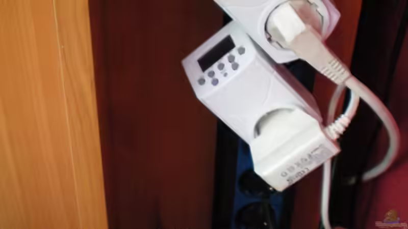 Technik im Aquarium Becken 23302 von Falk Bellmann (35)