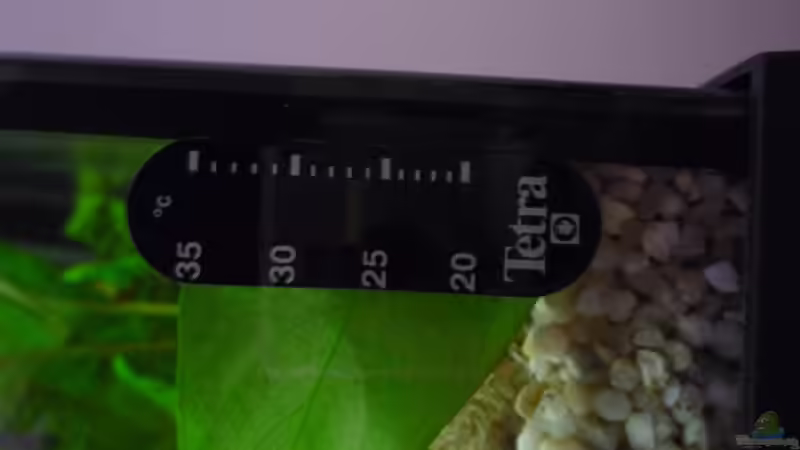 Technik im Aquarium Becken 23437 von je2r (4)