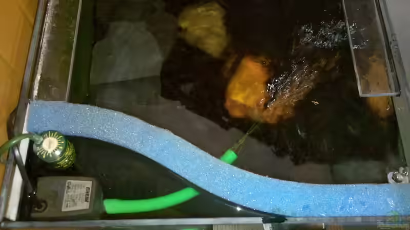 Technik im Aquarium Becken 23481 von Exoskelett-Fan (10)